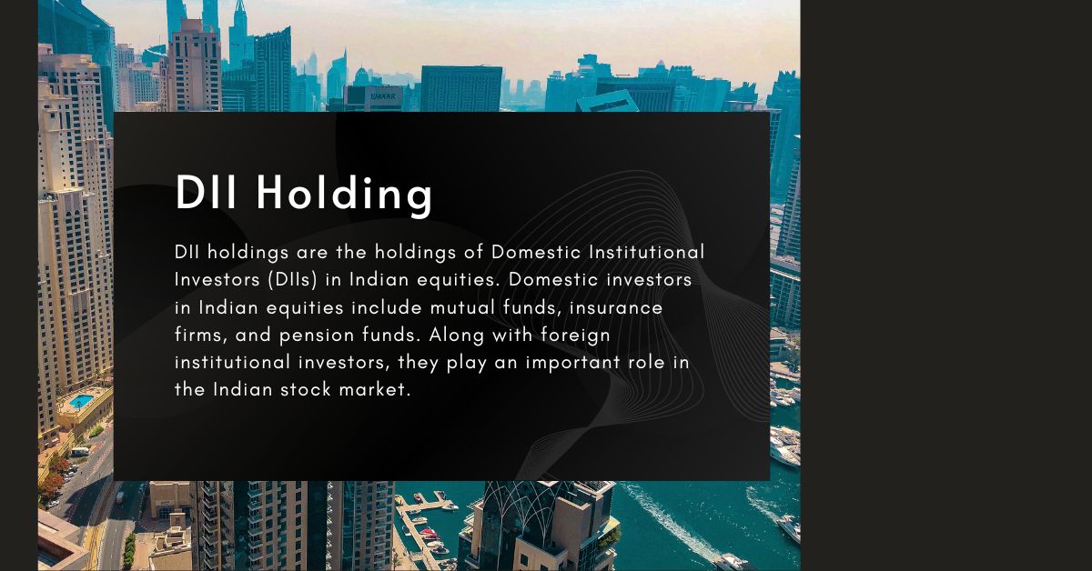 DII Holding 