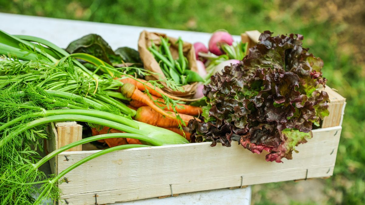 OrganicSustainable Farming