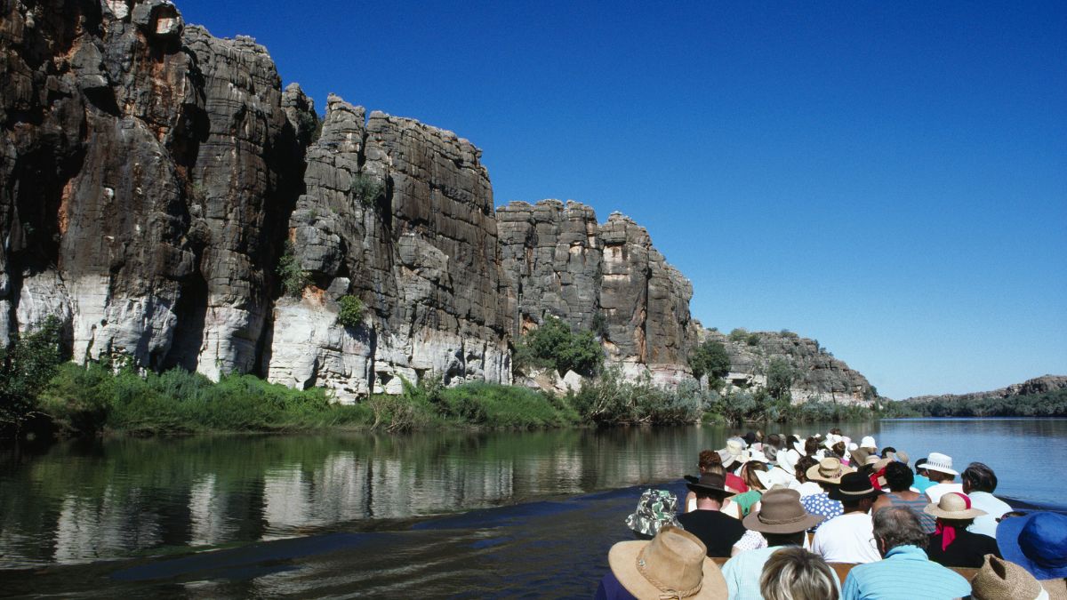 Tour Operator