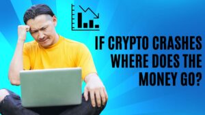 If Crypto Crashes Where Does the Money Go